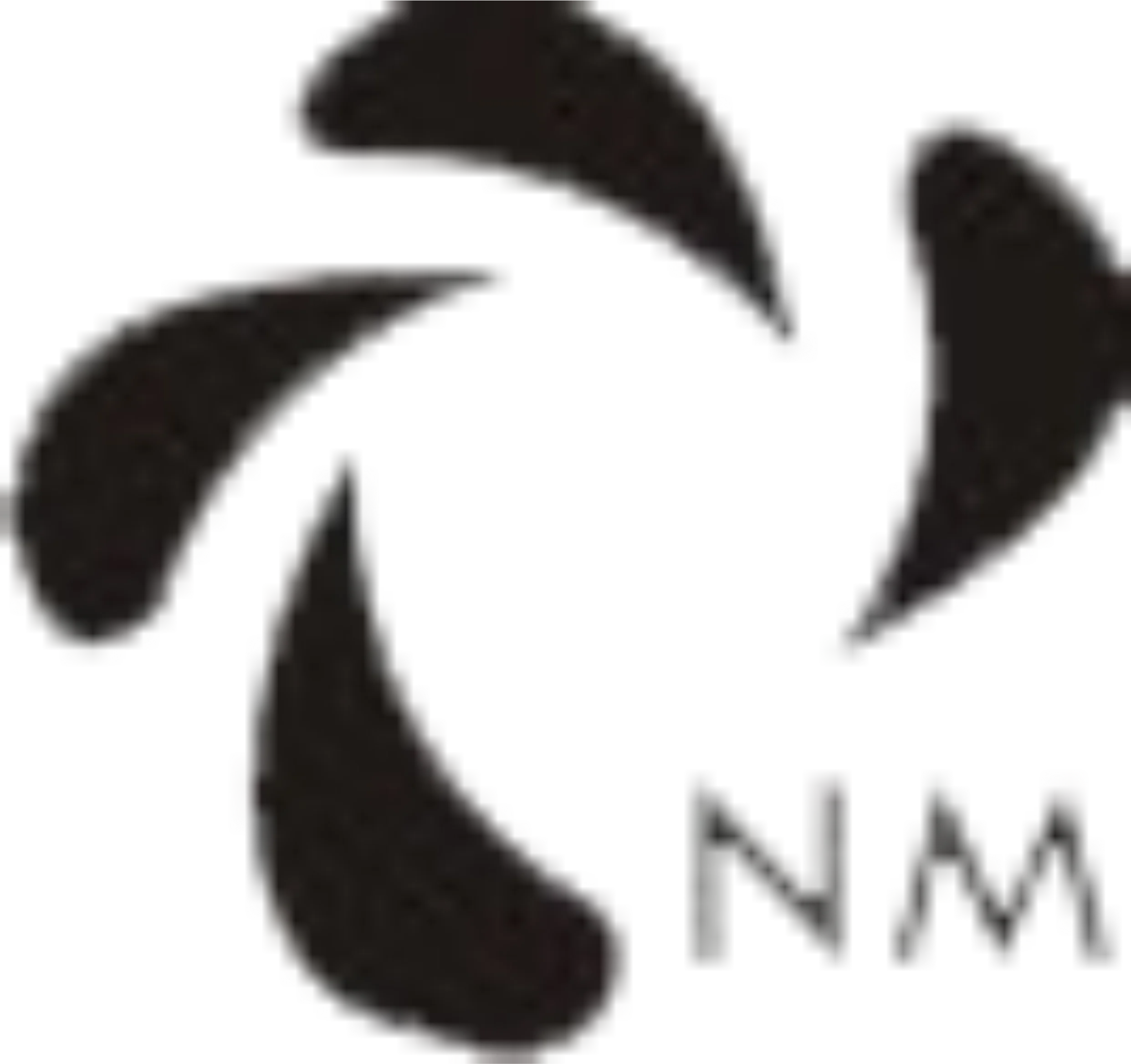 Nirupam Mills